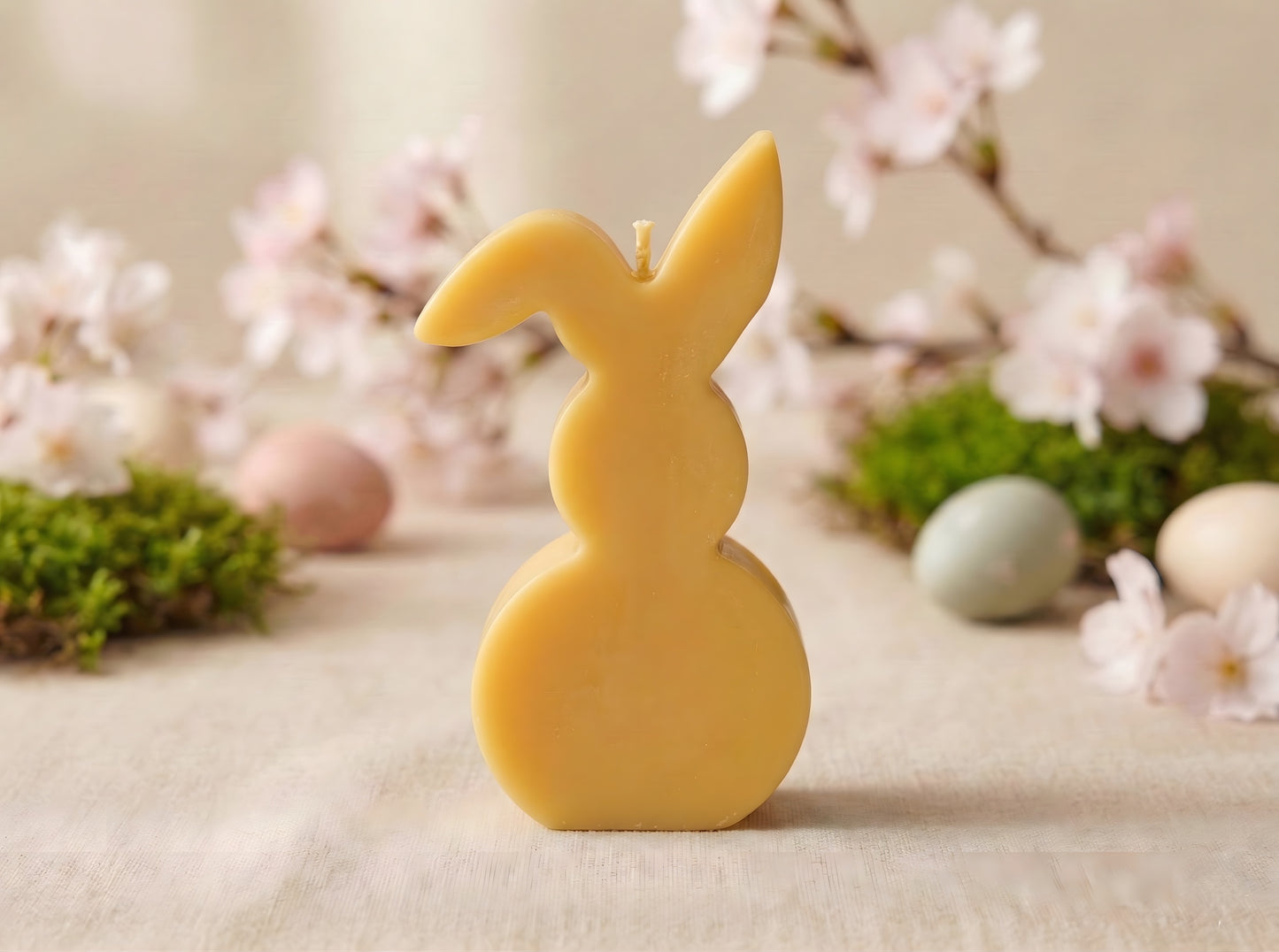 Harmony Bunny